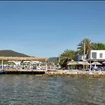 Madda
